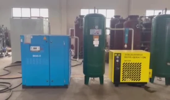 Manufacture Low ISO13485 Concentrator Generator Machine Gas Psa Nitrogen Guidance System Oxygen Cylinder